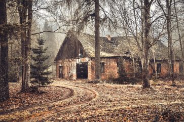 An old abandoned barn in the middle of the forest